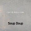 Soup Doup - Can't Be Really Gone - Single